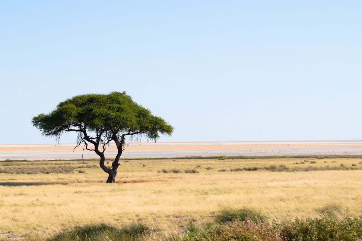 Serengeti, Tanzania